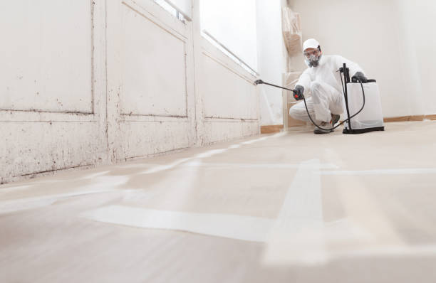 24/7 Emergency Black Mold Removal experts in Hainesport, NJ