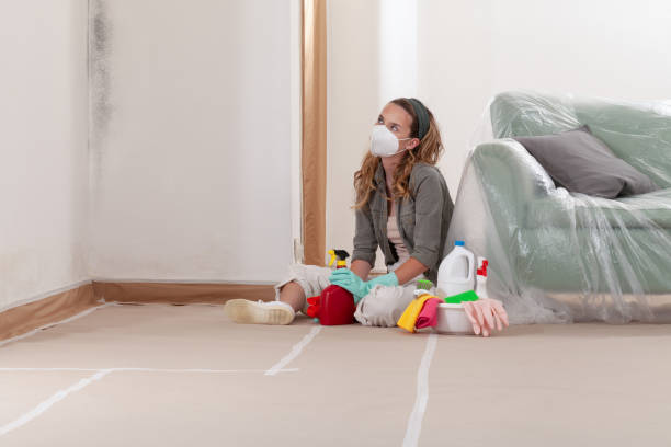 Reliable Mold Cleanup contractor in Hainesport, NJ by Cheap Mold Removal